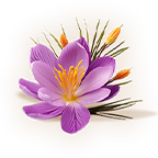 Saffron
