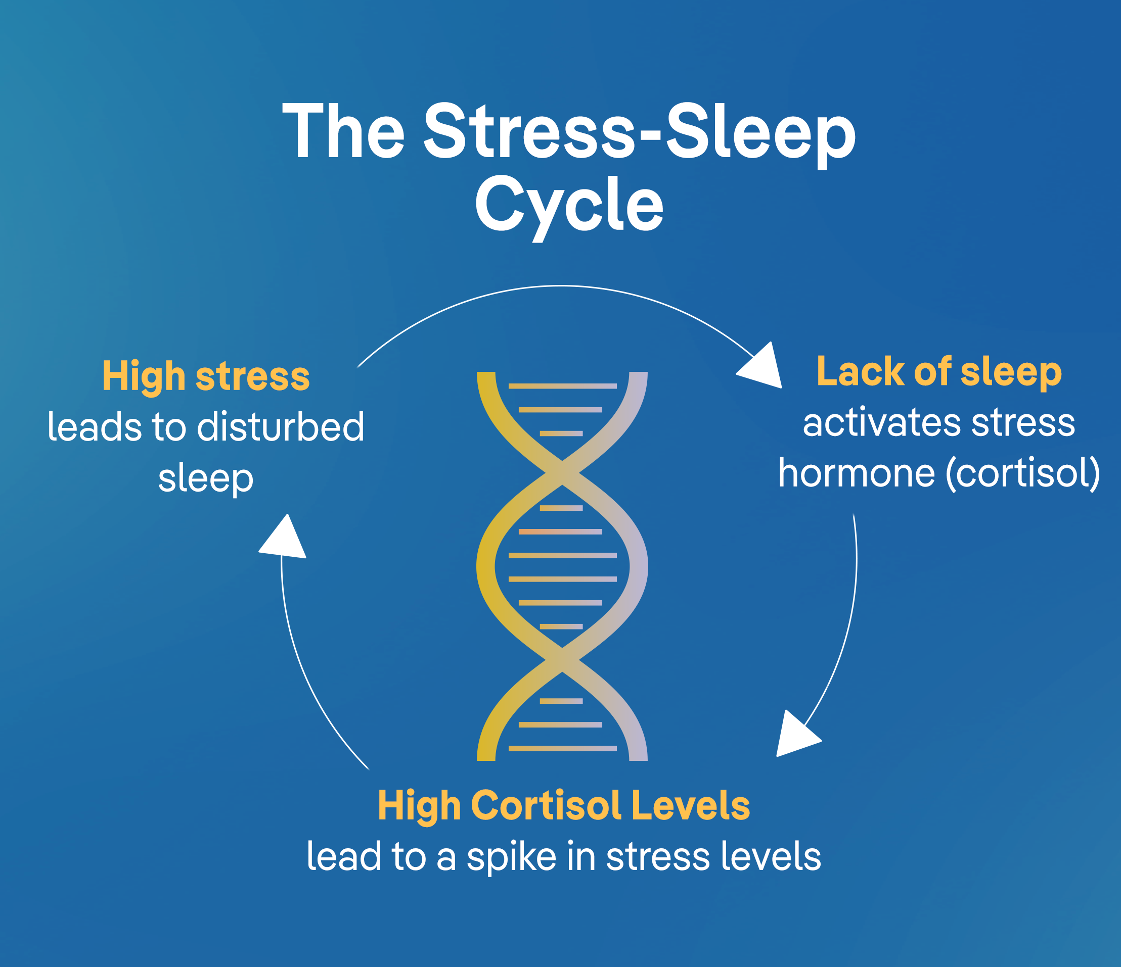 stress_cycle