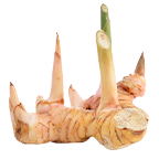 enXtra®