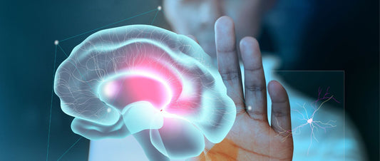 11 Best, Nourishing Foods for Increased Memory Power & A Healthy Brain