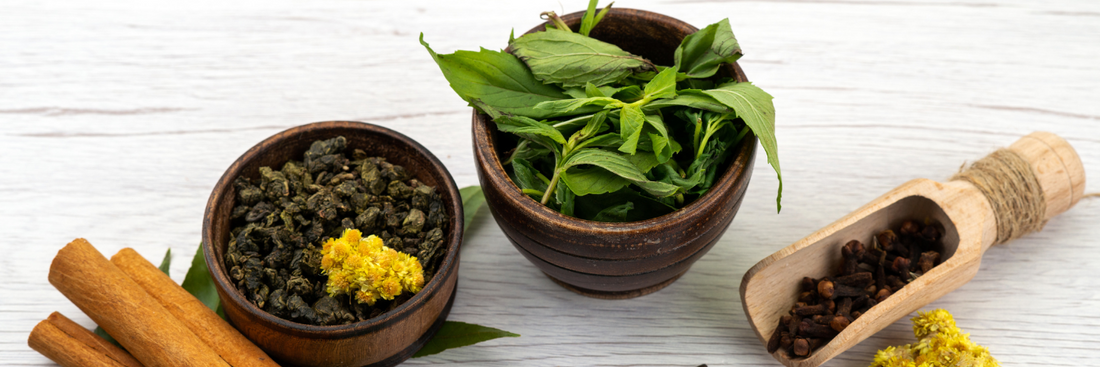 5 best herbs for cognitive enhancement