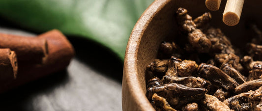 7 Advantages of Ashwagandha You Need to Know