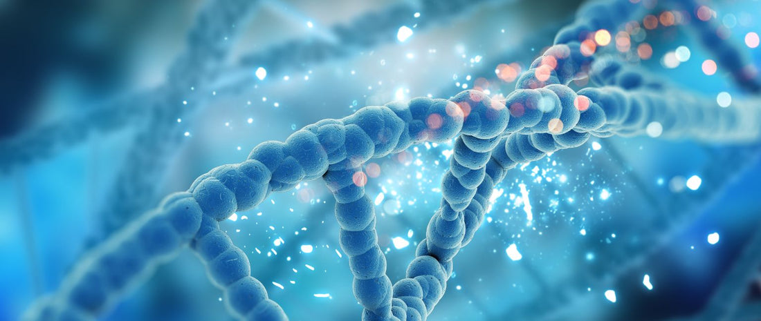 The Link Between Arthritis and Genetics: What You Need to Know