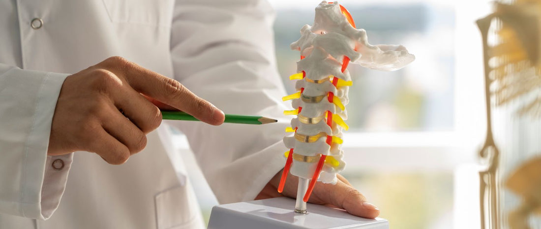 Think Beyond Calcium: Explore 5 Other Bone Health Nutrients