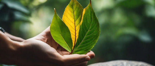 Navigating Arthritis with Eco-Friendly & Natural Solutions