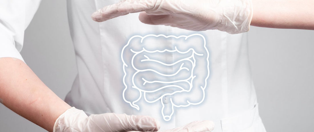 Decoding Gut Microbiome: A Detailed Guide for a Healthier You