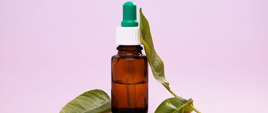 Wintergreen Oil Uses: Benefits and Uses Explained