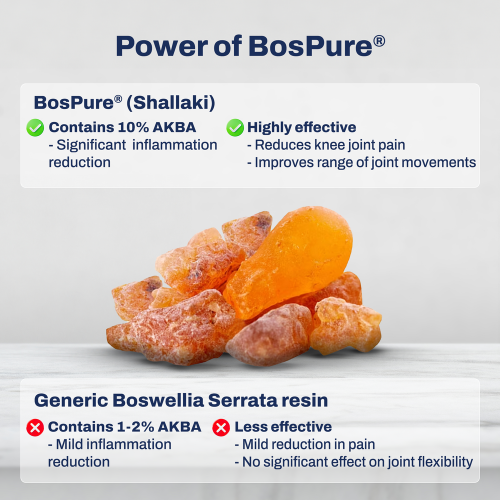 
                      
                        Pain Relief & Joint Mobility Tablets
                      
                    
